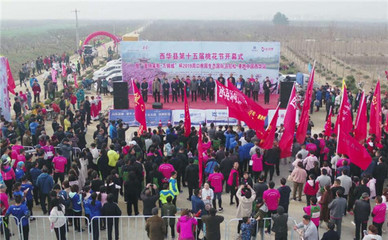 西華縣第十五屆桃花節(jié)盛大開幕 2500人馬拉松開跑點(diǎn)燃春日激情