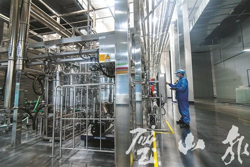 璧山造刀片電池下線記 探秘未來能源心臟，透視電子產品銷售新格局